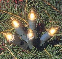 minisnoer 10 heldere lampjes